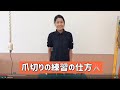 【ペット豆知識】犬の爪切りの練習の仕方♪【WaN 国際ペットワールド専門学校 新潟】