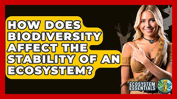 How Does Biodiversity Affect The Stability Of An Ecosystem? - Ecosystem Essentials