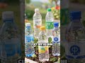 Stop Frost Damage: Spring Garden Protection Hack