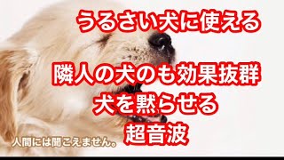 うるさい犬を黙らせる超音波 吠える犬を黙らせる Silence Barking Dog Youtube