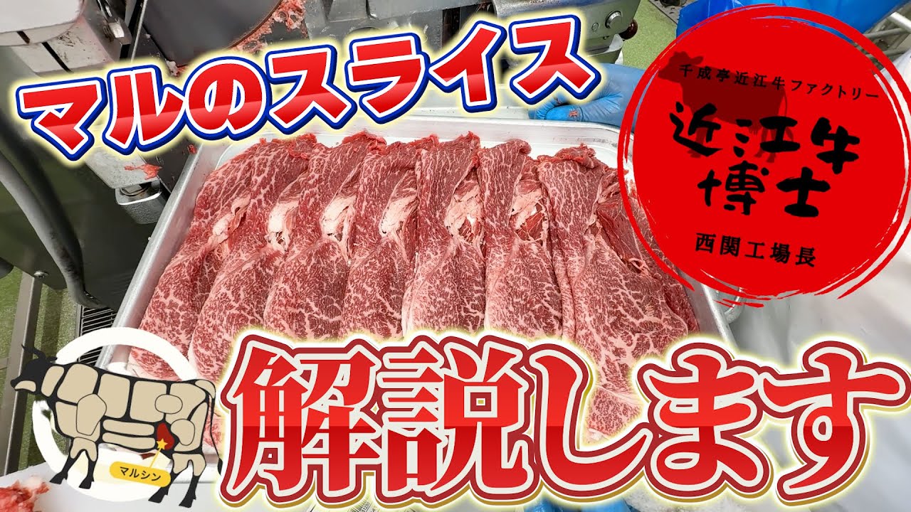 【精肉現場見学/食肉加工者向け】「マル」の正しいスライスと部位の特徴まとめ