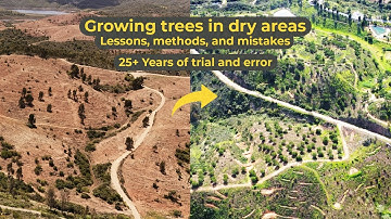 Growing trees in dry areas – Lessons, methods, and mistakes (full compilation)