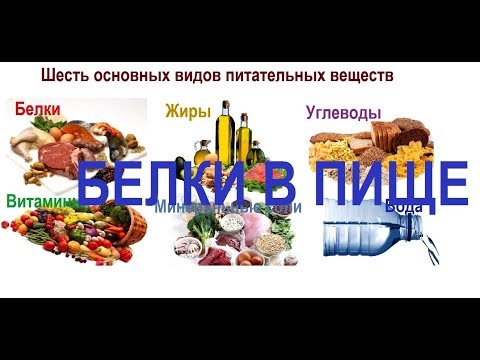 Белки в пище и незаменимые аминокислоты