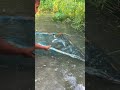 Amazing Fishing Skills of a Little Village Boy#fishing #fishinglife #VillageBoy