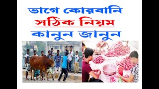 ভাগে কোরবানির নিয়ম  The rule of sacrifice in shares