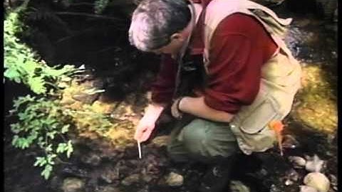 Module 1 - Introductory Stream Survey