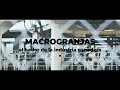 Macrogranjas, el hedor de la industria ganadera