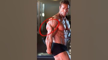 What does reverse bench work?