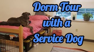 College Dorm Tour with a Service Dog | Service Dog at College Tips