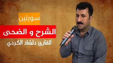 سورة الشرح و الضحى بصوت القارئ دلشاد الكردي...
