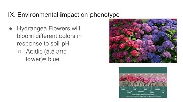 5.6 Non- nuclear inheritance and Environmental Impact