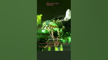 Farming The Snake For 300k XP