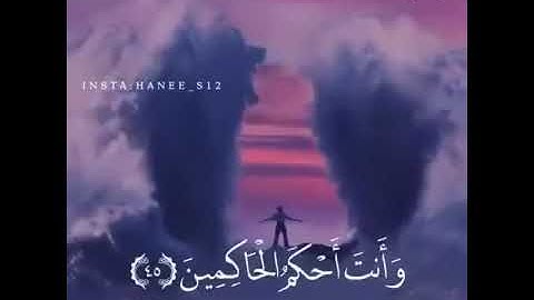 اسلام صبحي مؤثر جدا رائع حالات واتس اب انستغرام دينية سورة هود (ونادى نوح ربه)