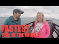 Alaska's fastest tide in the world!