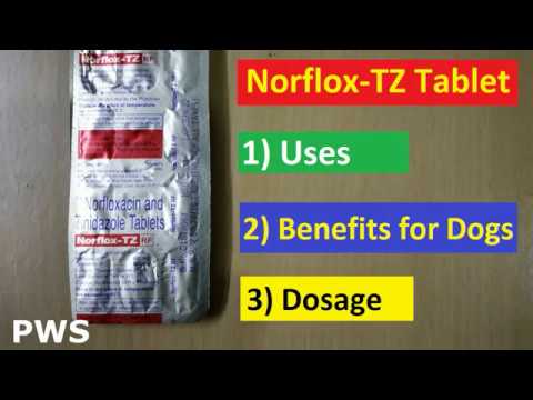 norflox tz dosage for dogs