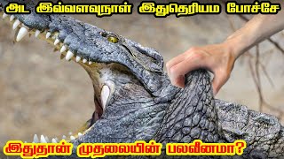 முதலையிடம் மாட்டிக்கொண்டால் எப்படி தப்பிப்பது  | How to survive a crocodile attack