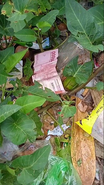 Ngk sengaja nemu uang 100 ribu di tempat sampah