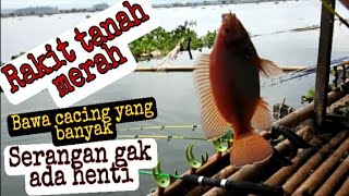 Download Lagu Mancing cirata palumbon | Rakit taneuh beureum serangan bikin sirik tetangga MP3