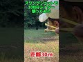 スリングショットで100円ライター撃ってみた　#日本スリングショット協会