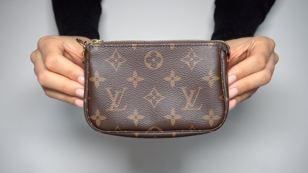 louis vuitton mini accessories pouch