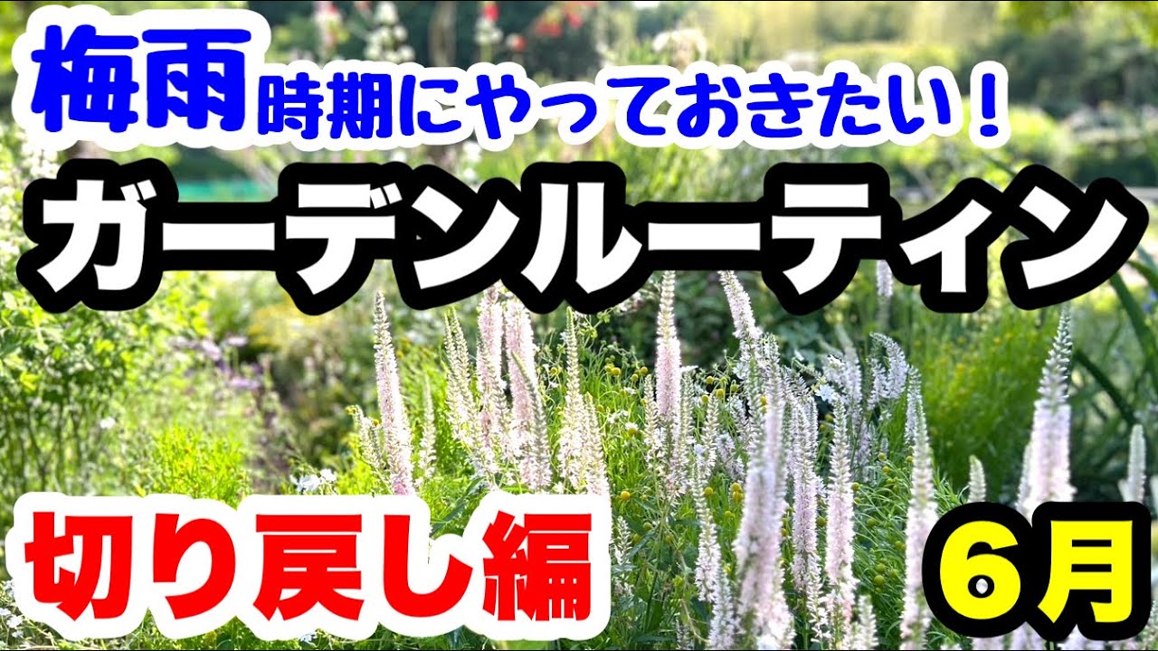 ◇【Essential for the rainy season!】Garden routine 
