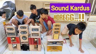 Cek sound box kardus sebanyak ini apakah bisa horeg audio miniatur sound system