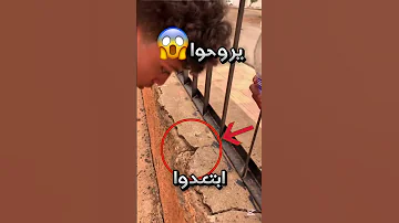 سأل بالله النمل يروحو من المكان وهذا اللي صار سبحان الله 