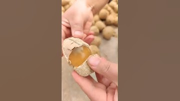 Salted Egg Process 🤩 #statisfying