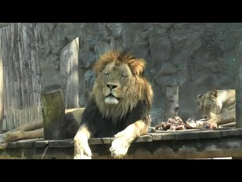 ZOO Olomouc 2026 (jaro) - 6. část