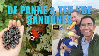 La Panne and Ter Yde Sand Dunes Walking Tour | The Planet V [4K]
