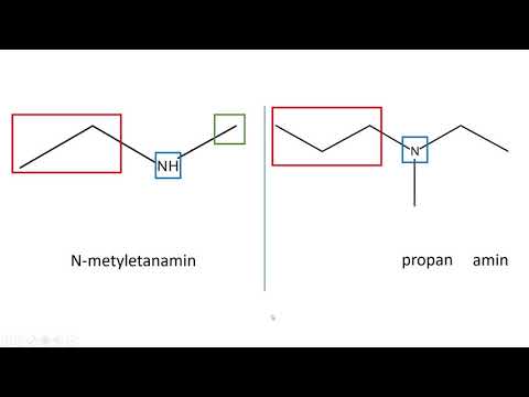 Video: Skillnaden Mellan Amin Och Amid