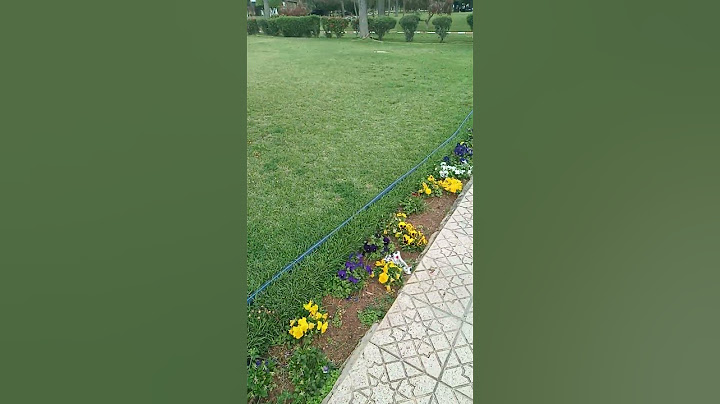 زرت عائلتي في الرباط والتقيت مع هذه المناظر I visited my family in rabat then I captured this