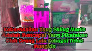 MANTUL❗kata kata buat status wa,,, kekinian & terbaru... Usaha tidak menghianati Hasil❗