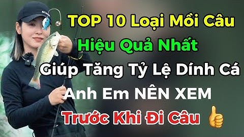 💥 TOP 10 loại mồi câu cá HIỆU QUẢ NHẤT giúp tăng tỉ lệ dính cá 🎏 anh em NÊN XEM trước khi Đi Câu👍