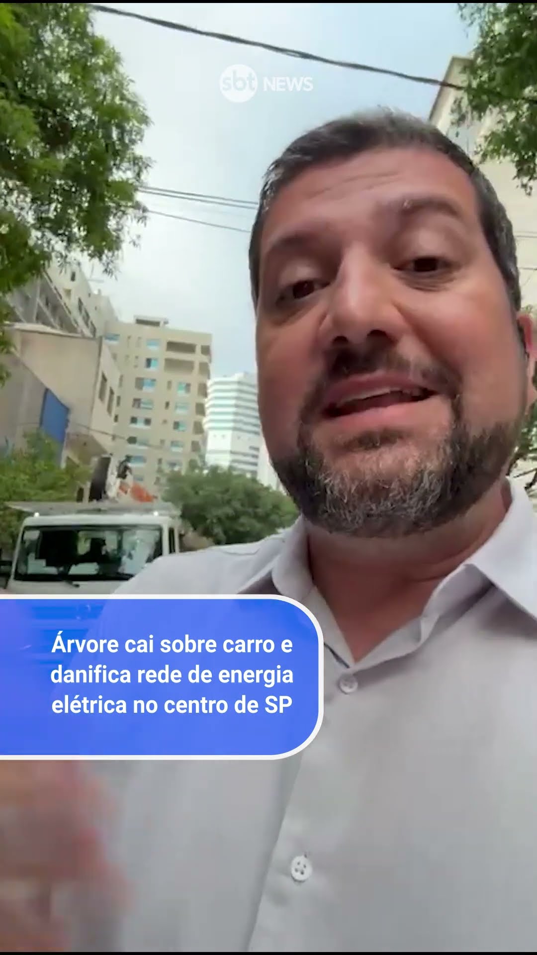 Árvore cai sobre carro e danifica rede de energia elétrica no centro de SP