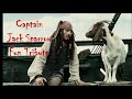 Pirates of the Caribbean ~ Captain Jack Sparrow Fun Tribute