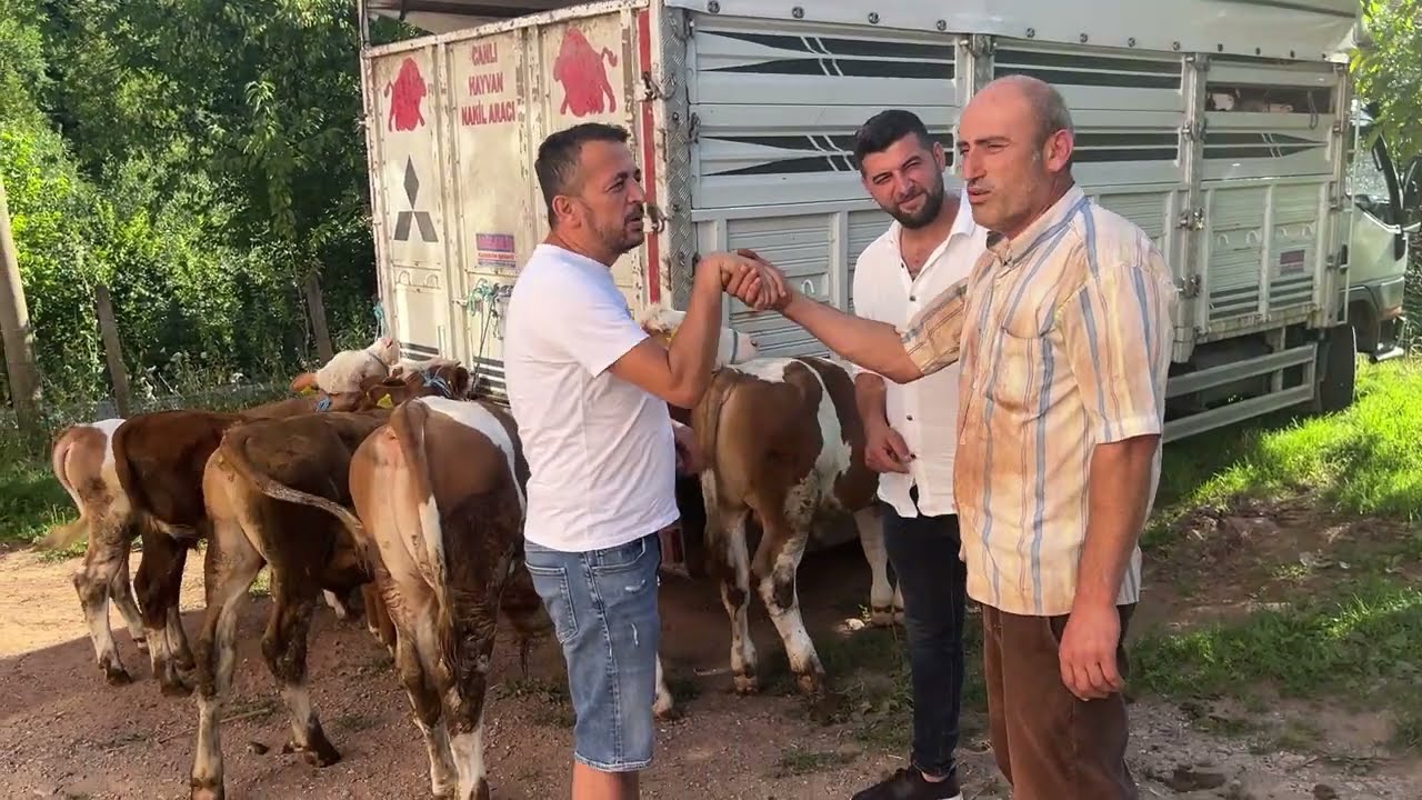 KÖYLÜ AMCALARLA PAZARLIK YAPTIK