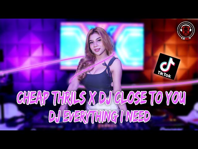 DJ CHEAP THRILS X DJ CLOSE TO YOU X DJ EVERYTHING I NEED REMIX 2023 class=