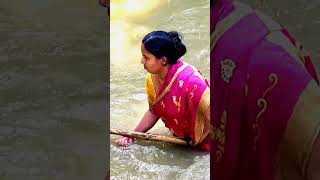 Village Fishing Village Fishing In Pond Aunty Fish Rahu Fish