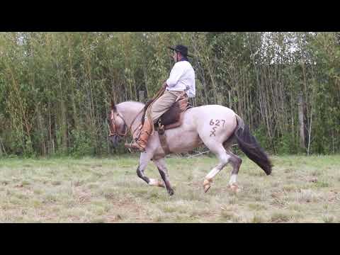 LOTE 15 QUILERO GALPONERO