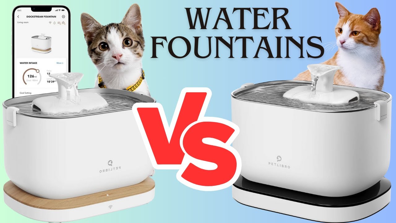 PETLIBRO Pet Water Fountains Review Cordless VS App monitoring YouTube