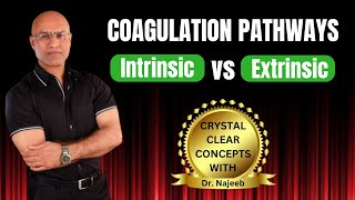 Intrinsic and Extrinsic Pathway of Coagulation | Hematology‍⚕