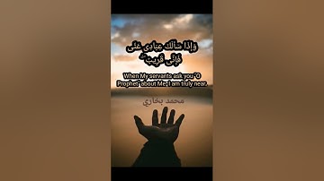 #القرآن_الكريم #محمد #mohammadbukhari #سورة_البقرة #surahalbaqarah
