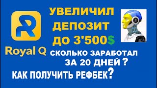 Royal Q - Правда о работе торгового робота! Сколько заработал за 20 дней? Получаем РЕФБЕК!