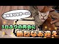 飼い主が3日ぶりの帰宅にルトが大喜び!!