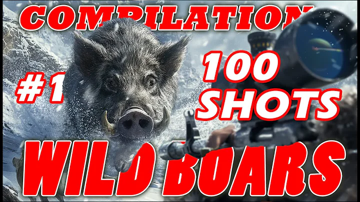 🎯Wild Boar 🐗100 shots compilation 1