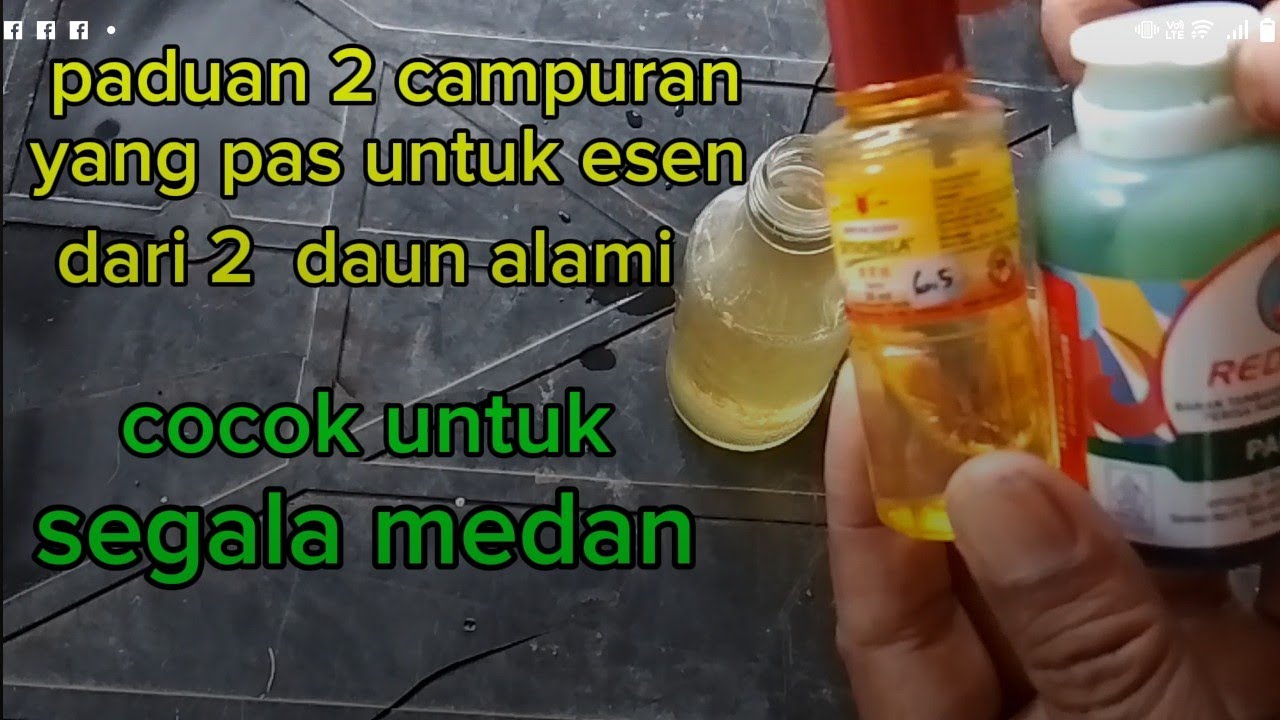 tutorial membuat esen dari 2 daun alami lengkap dng aroma yg kuat