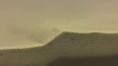 Bedform migration and dune lee avalanching