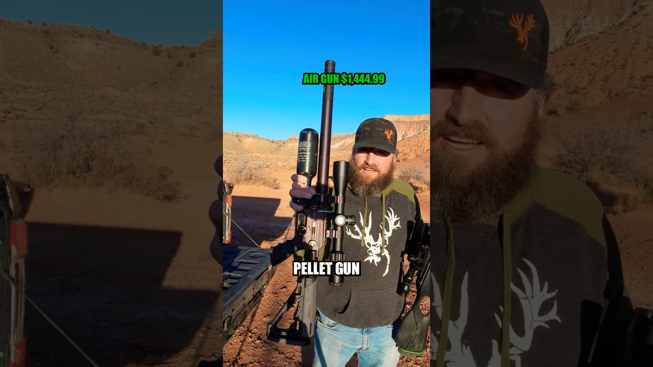 Pellet Gun Challenge! Air vs Spring Rifle