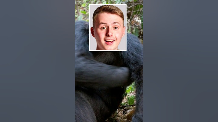 FIZI je opice 🙊